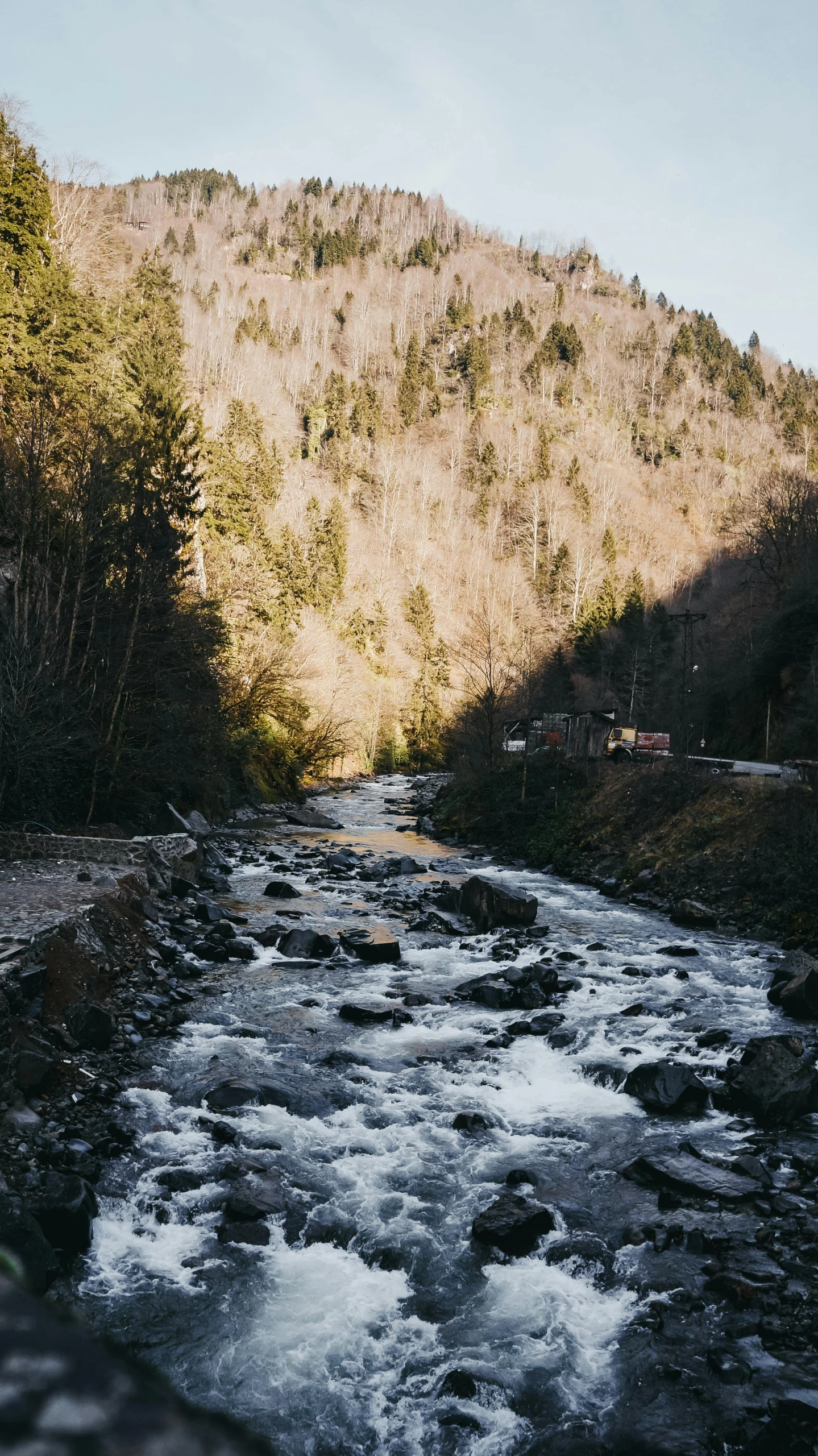 a river running through a forest filled with trees, an album cover, pexels contest winner, hurufiyya, carpathian mountains, lo-fi, thumbnail, high quality photo