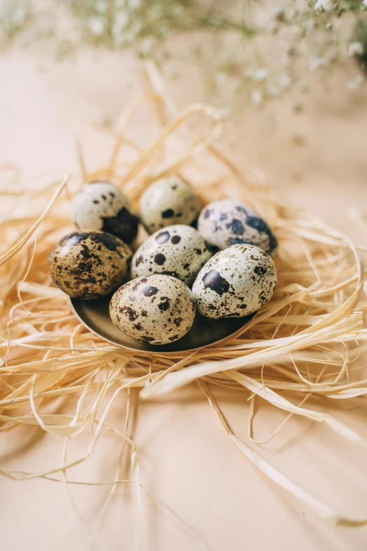 quails in a nest on a table, by Ellen Gallagher, unsplash, baroque, polka dot, dessert, eggshell color, black