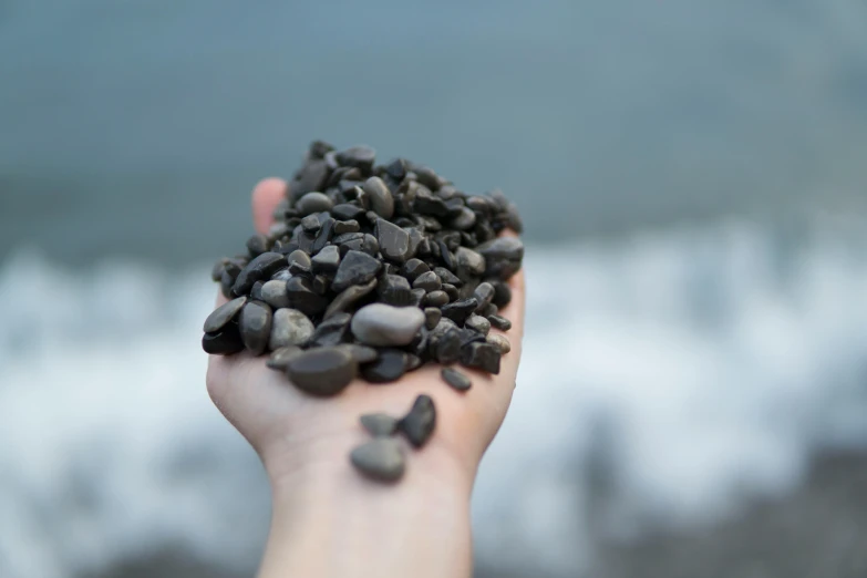 a person holding a handful of rocks in their hand, an album cover, by Alison Watt, unsplash, black resin, maui, beans, seaview