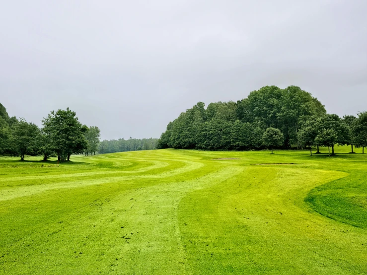 a green golf course with trees in the background, inspired by Sven Nordqvist, unsplash, baroque, grey sky, infested with pitch green, thumbnail, taken in the late 2000s