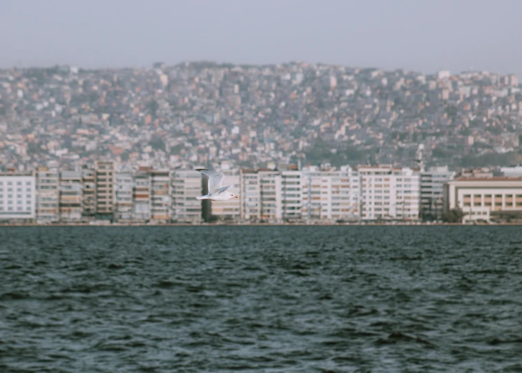 a large body of water with buildings in the background, by Elsa Bleda, view from the sea, aykut aydogdu, concrete housing, low quality photo