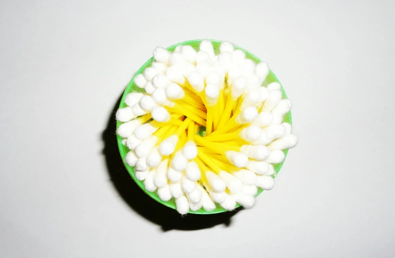 a close up of a toothbrush on a white surface, an album cover, chrysanthemum eos-1d, green and yellow colors, pincushion lens effect, flora borsi