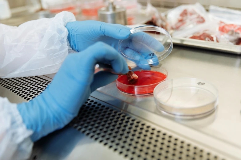 a close up of a person in a lab, ready to eat, sterile colours, thumbnail, brown