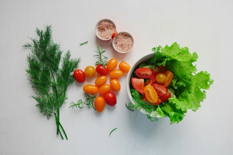 a bowl of tomatoes, lettuce, and other vegetables, a still life, unsplash, white bg, lush foliage, product view, a small