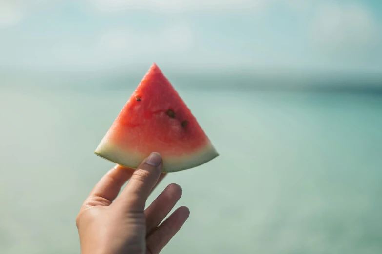 a person holding a piece of watermelon in front of the ocean, pexels contest winner, 🦩🪐🐞👩🏻🦳, one tomato slice, afternoon hangout, an olive skinned