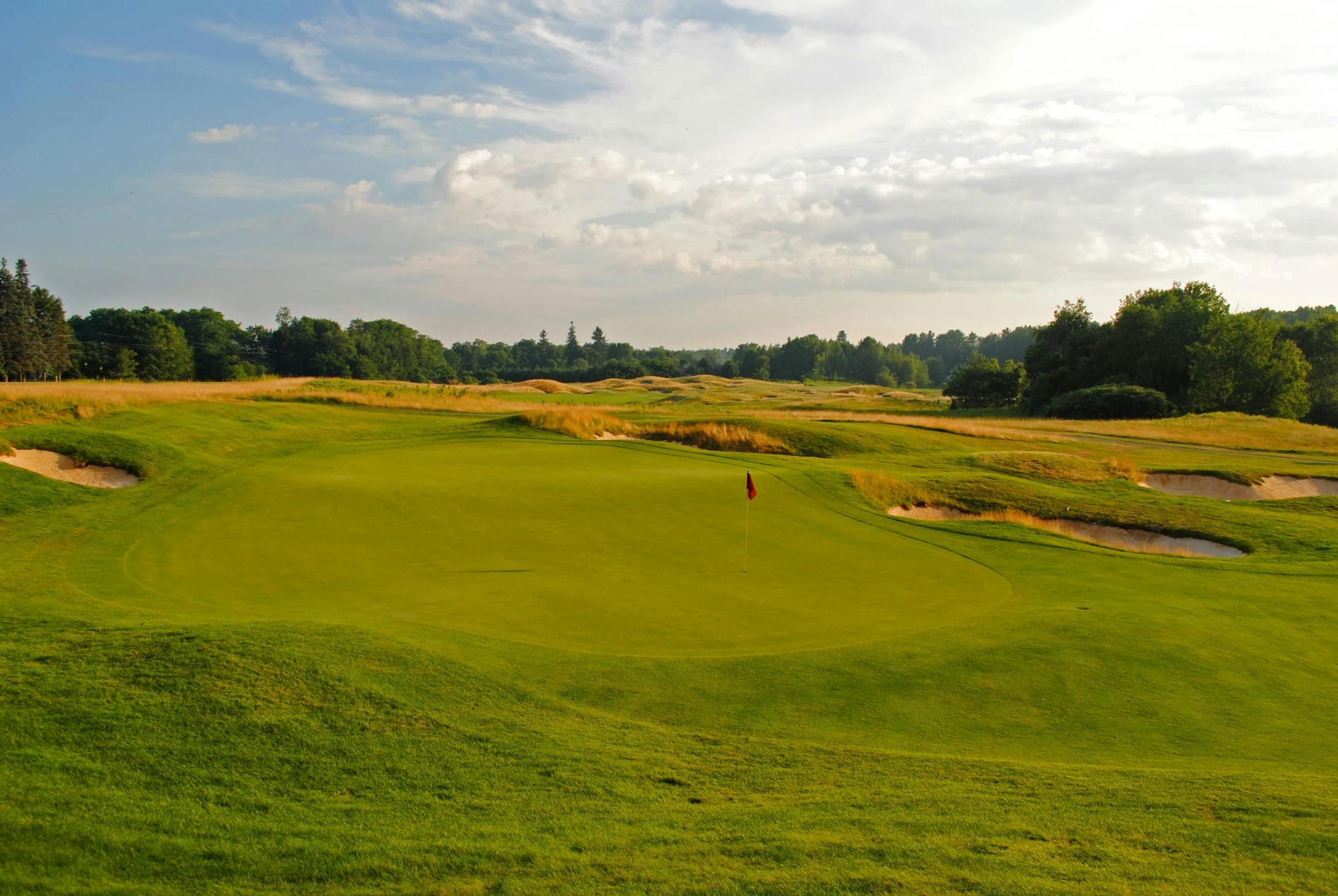 a green on a golf course surrounded by trees, a photo, by Jan Tengnagel, promo image, an expansive grassy plain, avatar image