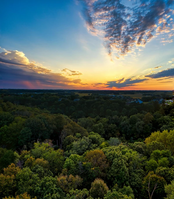 a sunset over a forest filled with lots of trees, by Joe Stefanelli, wide high angle view, fan favorite, 8 k photo, vista of a city at sunset