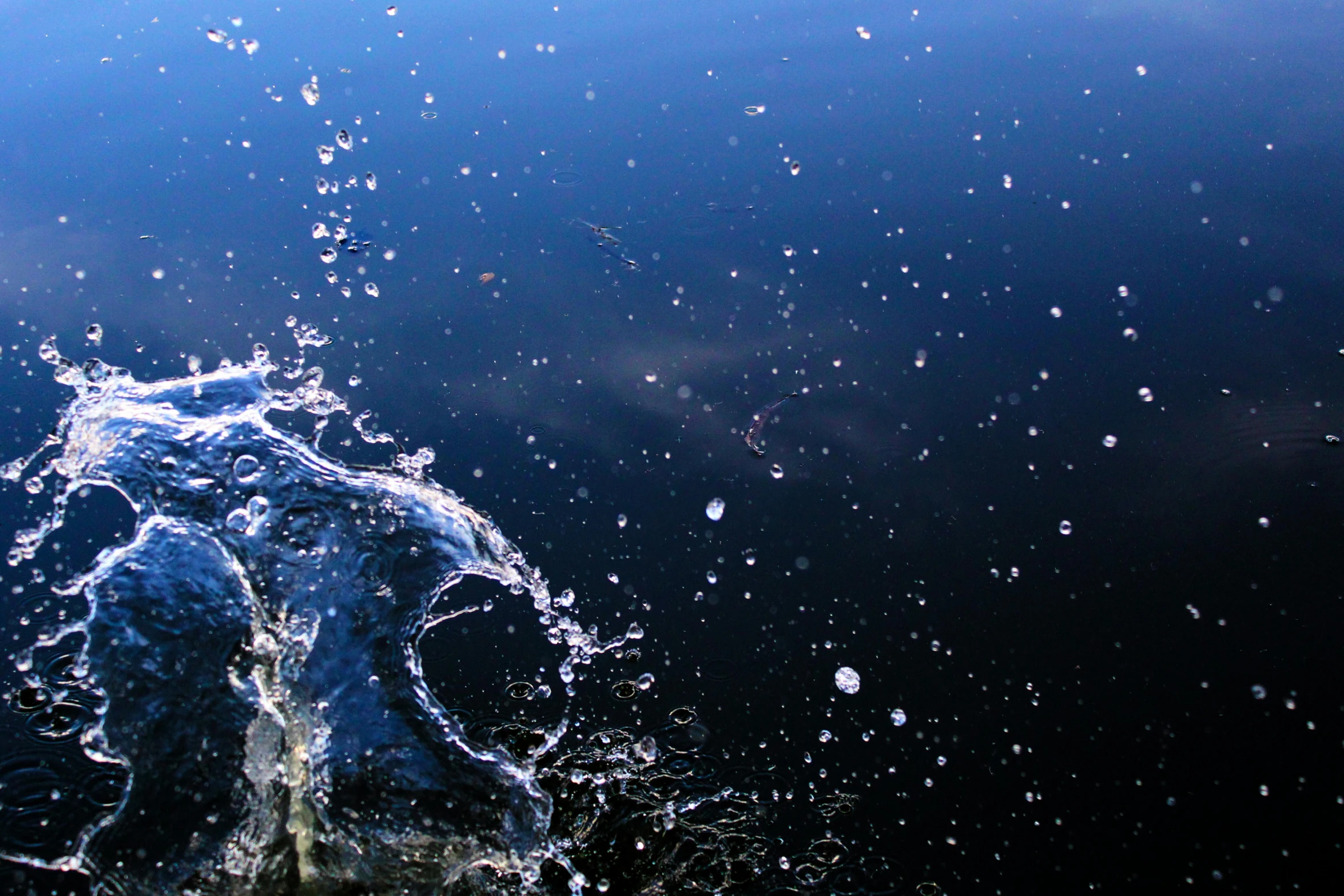 a splash of water on the surface of a body of water, by Jan Rustem, unsplash, lots of bubbles, dark blue water, ignant, water running down the walls