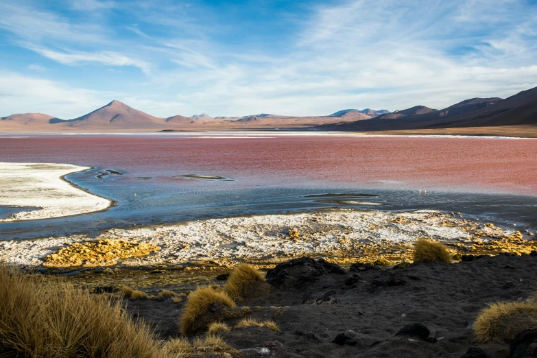 a body of water sitting in the middle of a desert, by Julia Pishtar, pink and red colors, andes, chocolate, avatar image