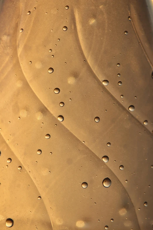 a close up of a bottle of water on a table, a microscopic photo, by Doug Ohlson, plasticien, dunes, caramel, taupe, curves