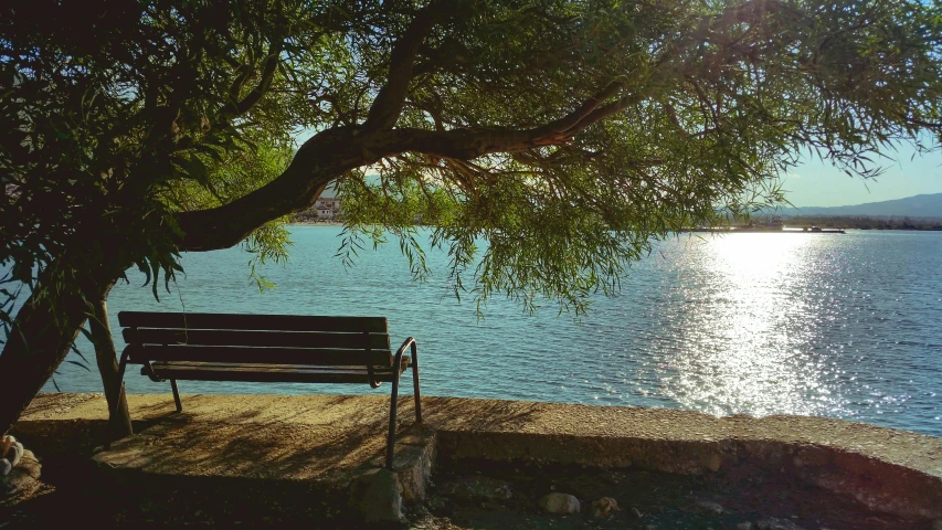 a bench sitting under a tree next to a body of water, a picture, pexels contest winner, mediterranean, soft sunlight dappling, instagram picture, horizontal view