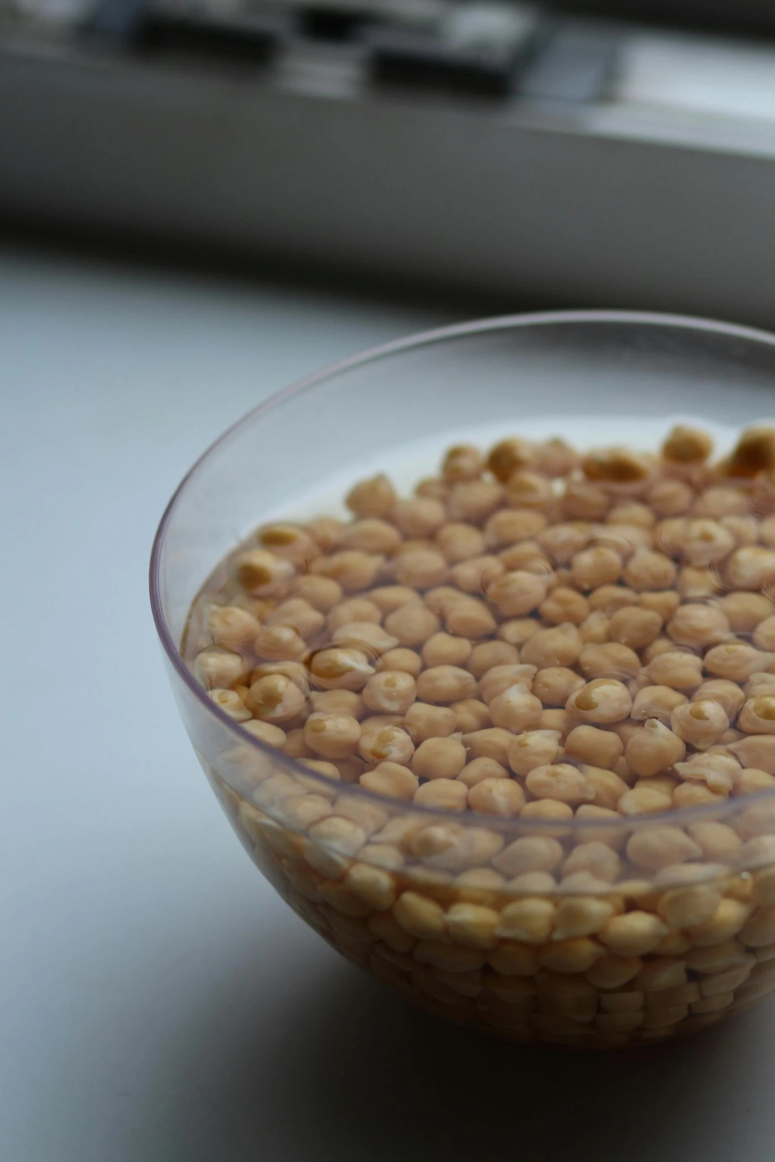 a bowl of cereal sitting on top of a table, bubble head, brown, genetically engineered, up-close