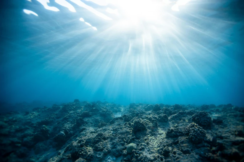 the sun shines brightly over a coral reef, an album cover, unsplash contest winner, happening, underwater light rays, mundane, dredged seabed, multiple stories