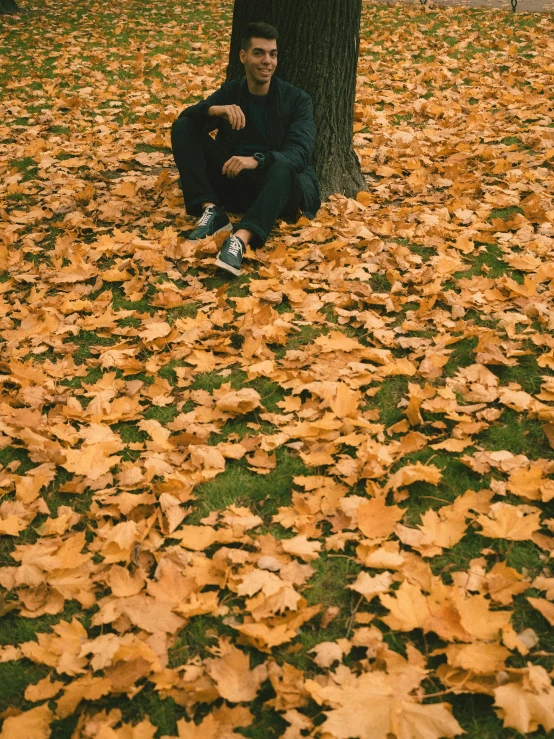 a man sitting on the ground next to a tree, pexels contest winner, golden leaves, taken on iphone 14 pro, 🍁 cute, sad motif
