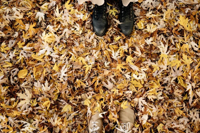 a person standing on top of a pile of leaves, by Nina Hamnett, pexels, visual art, adult pair of twins, fall leaves on the floor, true realistic image, 3 4 5 3 1