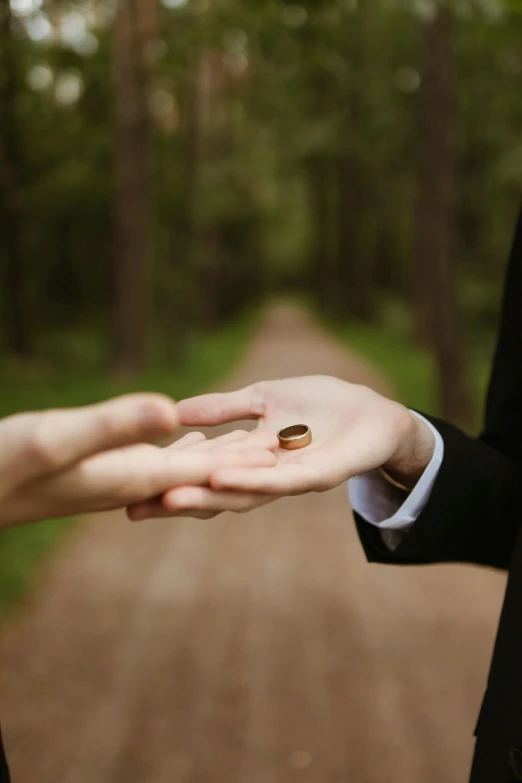 a man putting a wedding ring on a woman's hand, an album cover, unsplash, woodland setting, lgbtq, walking, te pae