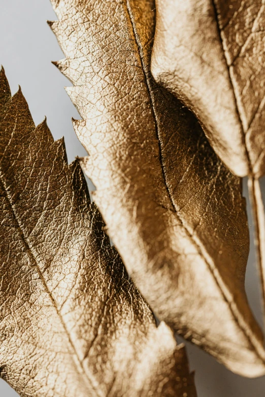 a close up of a bunch of leaves, inspired by Méret Oppenheim, baroque, golden smooth material, handcrafted, birch, product shot