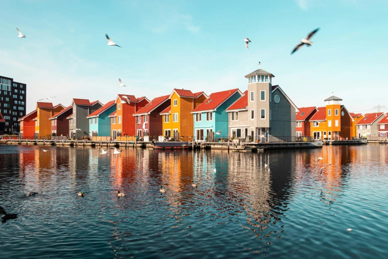 a group of birds flying over a body of water, by Jan Tengnagel, pexels contest winner, colorful houses, dutch style, 4 k photoshopped image, small port village
