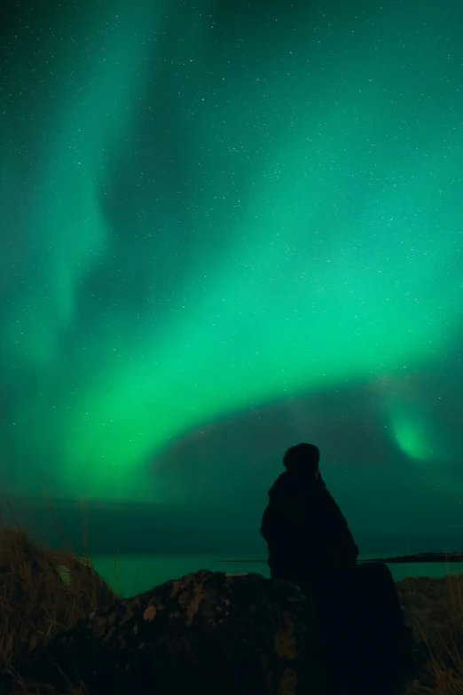 a person looking at the aurora lights in the sky, by Terese Nielsen, man sitting facing away, full frame image, vivid)