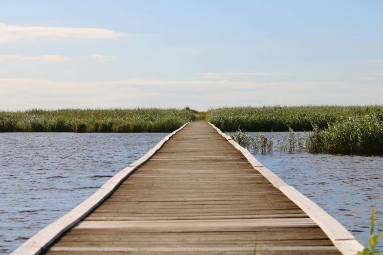 a wooden bridge over a body of water, by Eglon van der Neer, unsplash, land art, brown, white, marsh, summer day