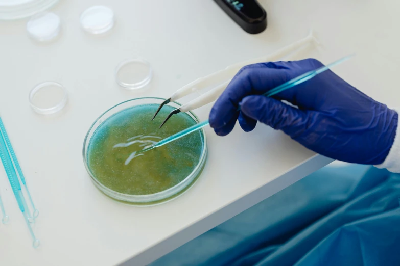 a person in blue gloves holding a pair of scissors, a microscopic photo, full of greenish liquid, yeast, plating, teal aesthetic