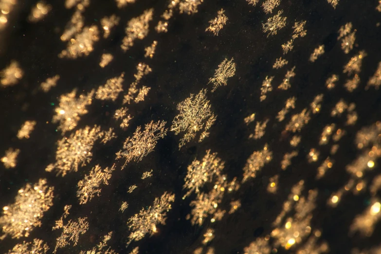 a close up of snow flakes on a surface, a microscopic photo, by Attila Meszlenyi, trending on unsplash, gold and black metal, night sky; 8k, viewed from space, golden hour sunlight