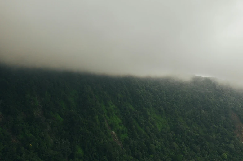 a plane flying over a lush green hillside, by Max Dauthendey, pexels contest winner, hurufiyya, observed from afar in the fog, panorama view, overcast! cinematic focus, indian forest