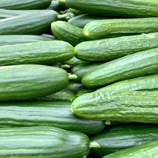 a pile of cucumbers sitting on top of each other, a picture, pexels, hurufiyya, square, 15081959 21121991 01012000 4k, rocket, proteus vulgaris