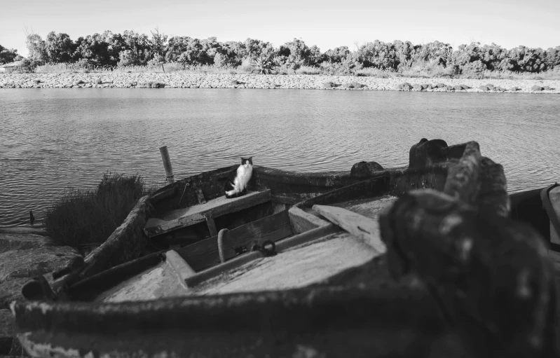 a boat sitting on top of a beach next to a body of water, a black and white photo, unsplash, process art, close river bank, sittin, an abandoned, camaraderie