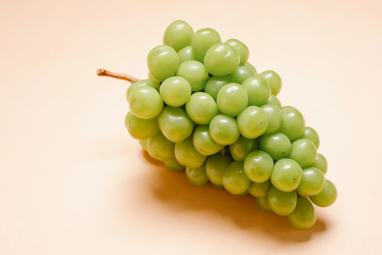 a bunch of green grapes sitting on top of a table, pale green background, highly upvoted, slightly tanned, looking left