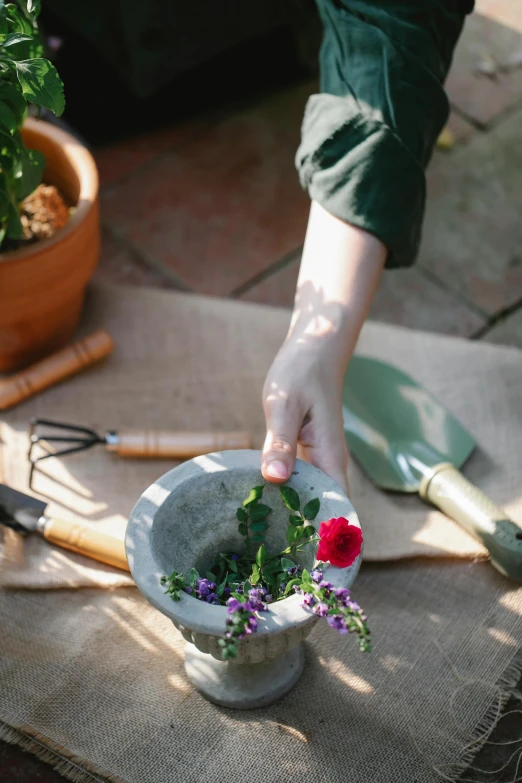 a person holding a mortar with flowers in it, garden setting, smooth solid concrete, flat lay, sun setting