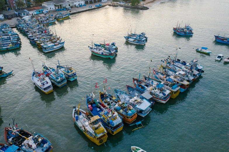 a number of boats in a body of water, by Daniel Lieske, pexels contest winner, hurufiyya, fish seafood markets, avatar image, sri lanka, thumbnail