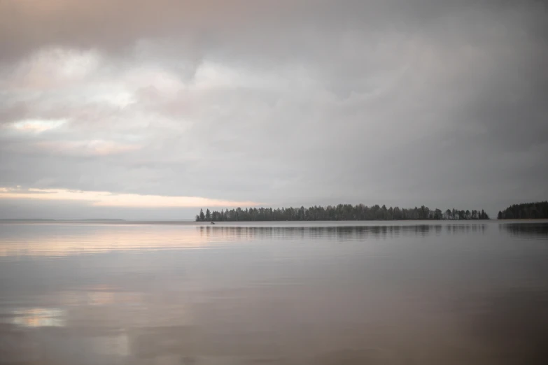 a body of water surrounded by trees under a cloudy sky, by Jaakko Mattila, at gentle dawn pink light, overcast gray skies, large scale photo, today\'s featured photograph 4k