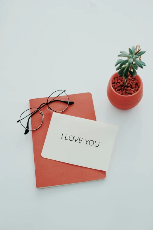 a note that says i love you next to a potted plant, unsplash, in square-rimmed glasses, low quality photo, - 9