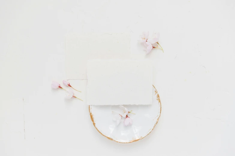 a piece of paper sitting on top of a plate, in a white boho style studio, blossom sakura, background image, thumbnail