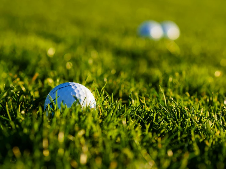 a group of golf balls sitting on top of a lush green field, in the evening, detailed »