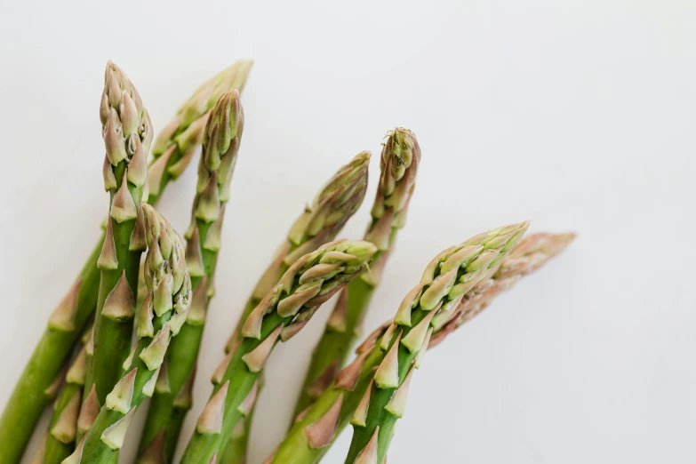 a close up of asparagus spears on a white surface, unsplash, 🦩🪐🐞👩🏻🦳, award - winning crisp details ”, family friendly, over the shoulder