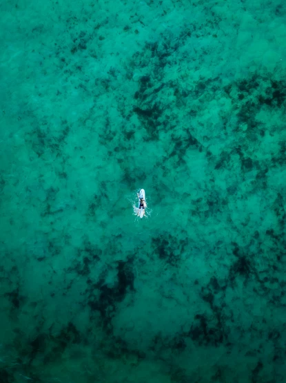 a person on a surfboard in the middle of the ocean, unsplash contest winner, minimalism, deep green, top down extraterrestial view, looking sad, slightly pixelated