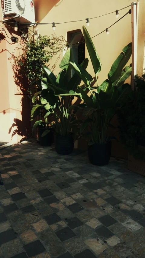 a courtyard with potted plants and string lights, unsplash, photorealism, low quality photo, marbella landscape, black floor, sunny day time