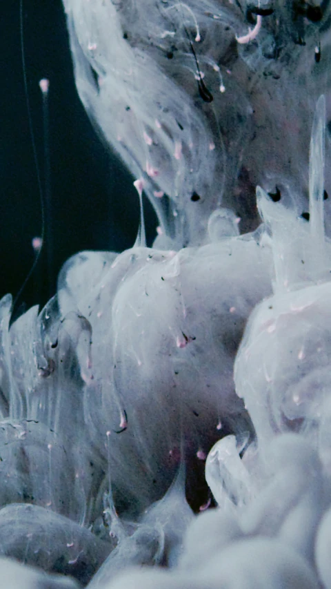 a close up of a white substance in water, inspired by Kim Keever, unsplash, vhs footage still, drips, bubble goth, made of cotton candy