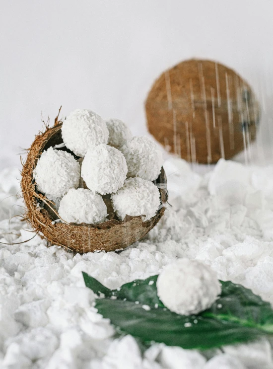 a couple of coconuts sitting on top of a pile of snow, inspired by Károly Patkó, hurufiyya, lots of mozzarella balls, bright white porcelain, detailed product image, cookies