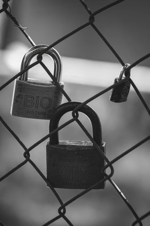 two padlocks attached to a chain link fence, a black and white photo, pexels, biotech, dark. no text, profile pic, stacked image