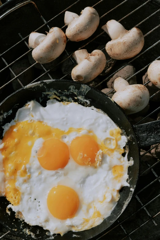 a frying pan filled with eggs sitting on top of a grill, by Niko Henrichon, unsplash, renaissance, mushrooms grow from the body, 🪔 🎨;🌞🌄, camp, trending on markets