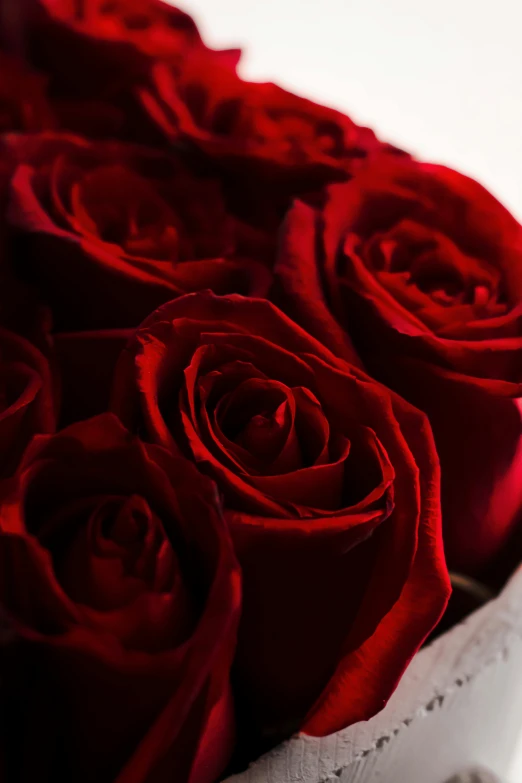 a bouquet of red roses in a white box, by Luma Rouge, medium close up, award winning seductive, neck zoomed in, red velvet