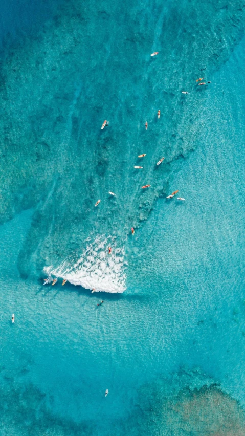 a number of boats in a body of water, pexels contest winner, surf, sapphire waters below, 15081959 21121991 01012000 4k, fiona staples