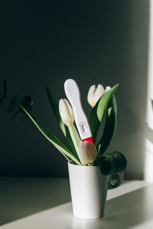 a vase filled with flowers sitting on top of a window sill, holding a yellow toothbrush, red and white neon, tulip, white light shining on her