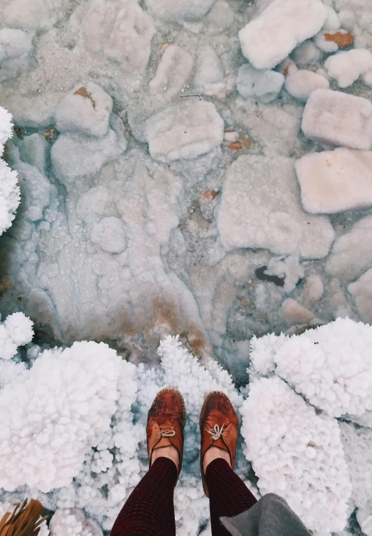 a person standing in the middle of a frozen lake, a picture, by Lucia Peka, trending on unsplash, duck shoes, top down view, in the style wes anderson, 🤬 🤮 💕 🎀