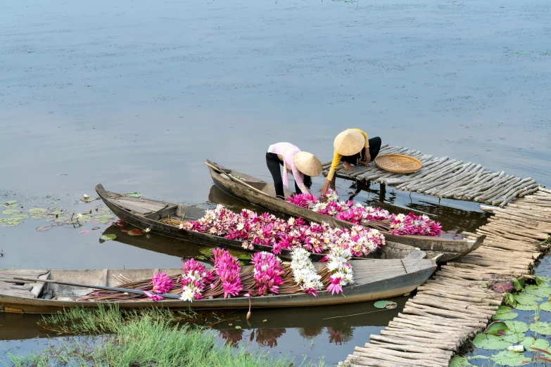 a couple of boats sitting on top of a body of water, inspired by Steve McCurry, pexels contest winner, flowers with very long petals, vietnam, thumbnail, preparing to fight