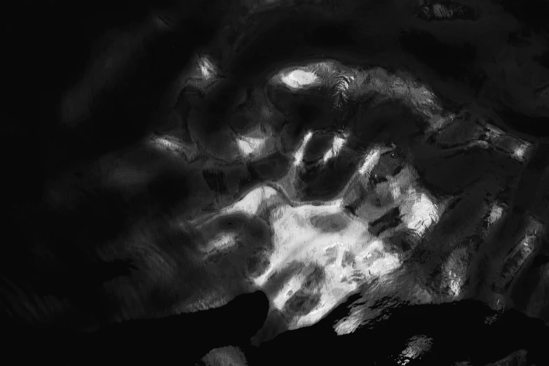 a black and white photo of a dog in the water, a cave painting, inspired by Germaine Krull, reddit, lyrical abstraction, digital painting - n 5, abstract black leather, mysterious glow, (abstract)