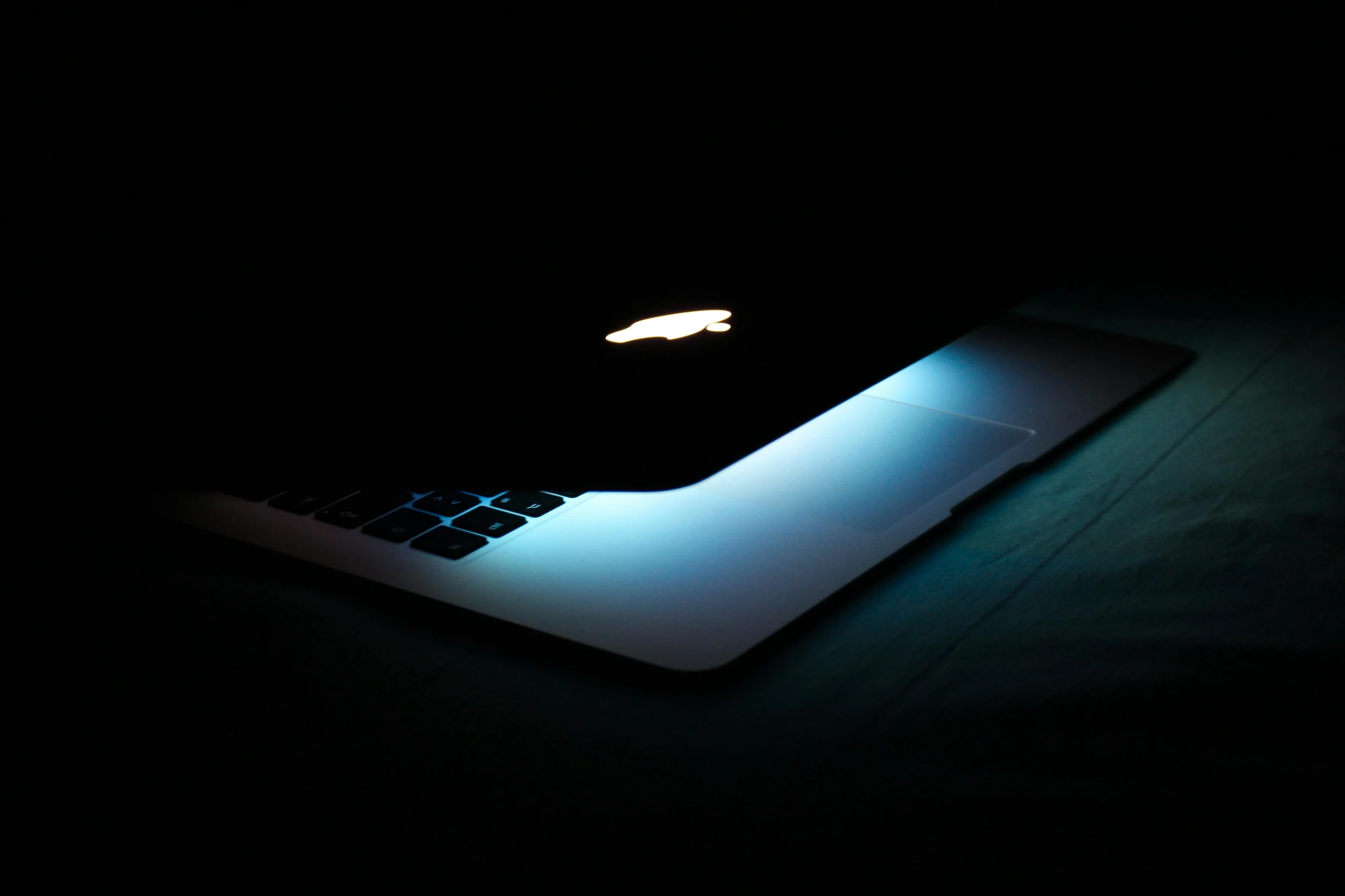 an apple laptop lit up in the dark, inspired by Elsa Bleda, unsplash, black and blue, fan favorite, iphone 13, bioluminescent skin